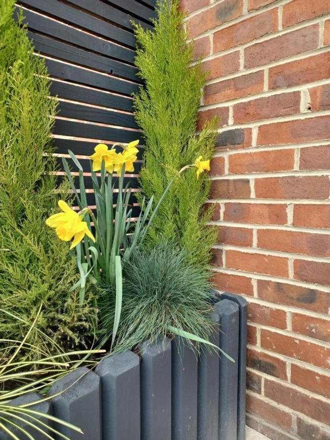 Villa Claro Mews Gem Knaresborough Exterior foto